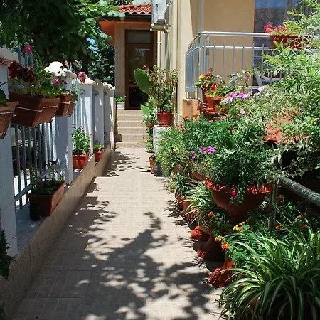 Guest house Petrovi *