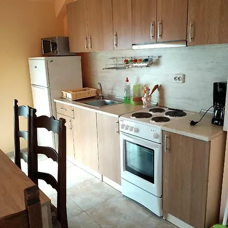 Guest house Petrovi *