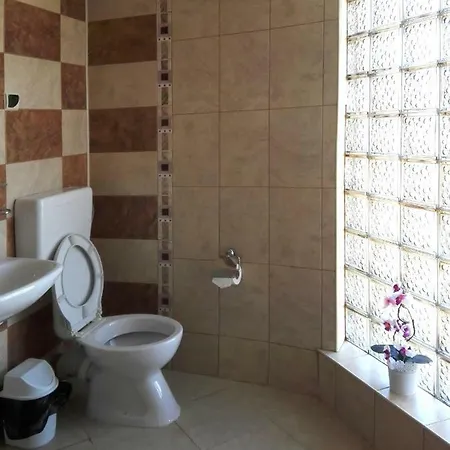 Guest house Petrovi *